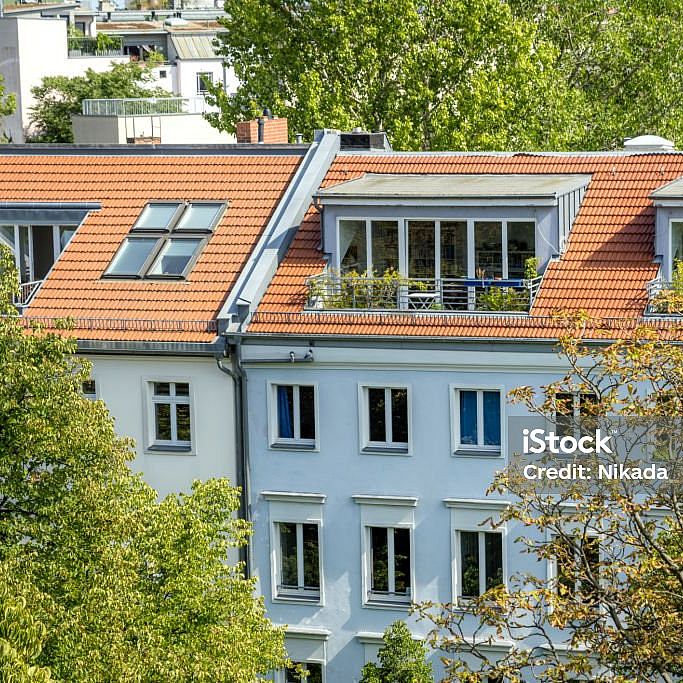 ein stockphoto von einem haut zwischen 2 bäumen