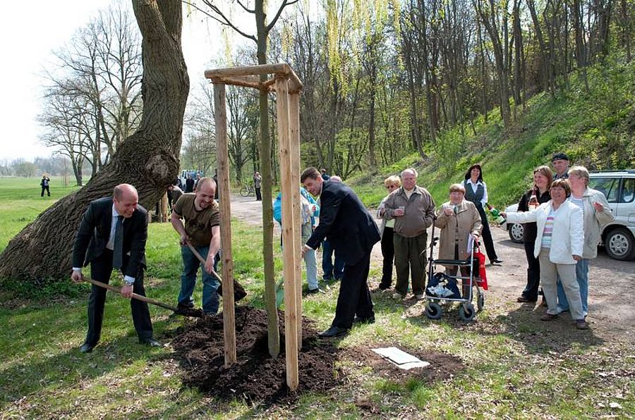 Baumpflanzaktion - Mein Baum für Merseburg