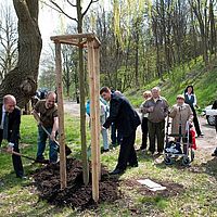 Baumpflanzaktion - Mein Baum für Merseburg