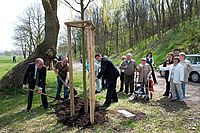 Baumpflanzaktion - Mein Baum für Merseburg